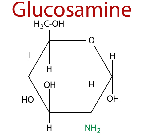 Glucosamine + Fish Oil 90 Capsules